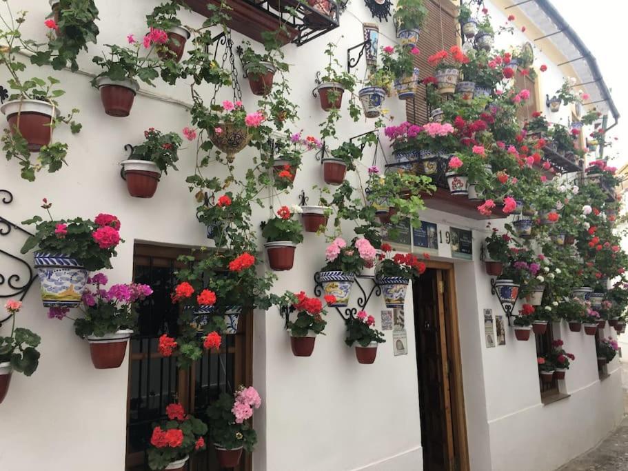 Apartamento El Templo Córdoba Eksteriør billede