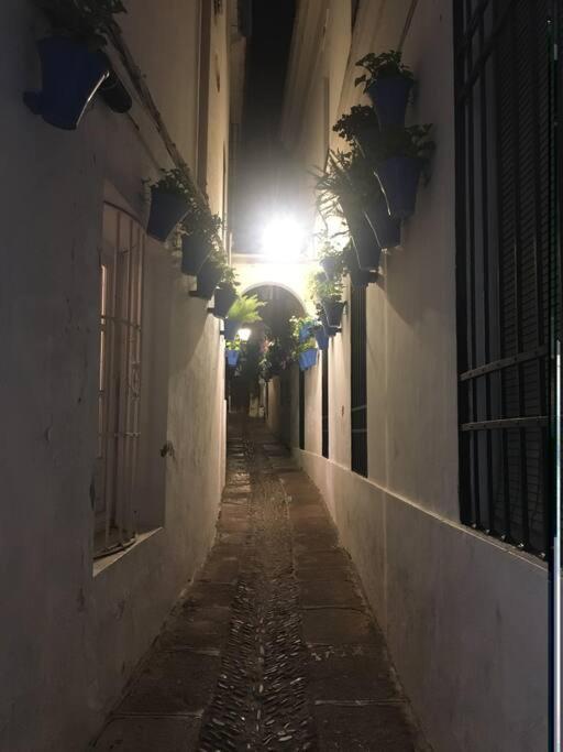Apartamento El Templo Córdoba Eksteriør billede