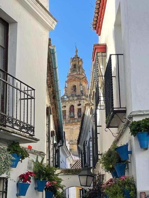 Apartamento El Templo Córdoba Eksteriør billede